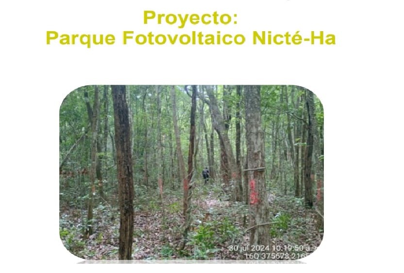 Developer applies for change of land use for Nicté-Ha Photovoltaic Park project