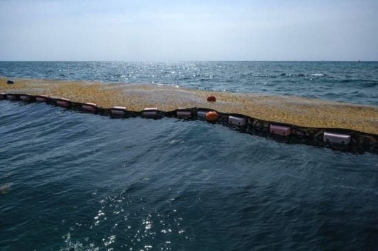 Quintana Roo readying to start construction of first billion-dollar sargassum biogas plant