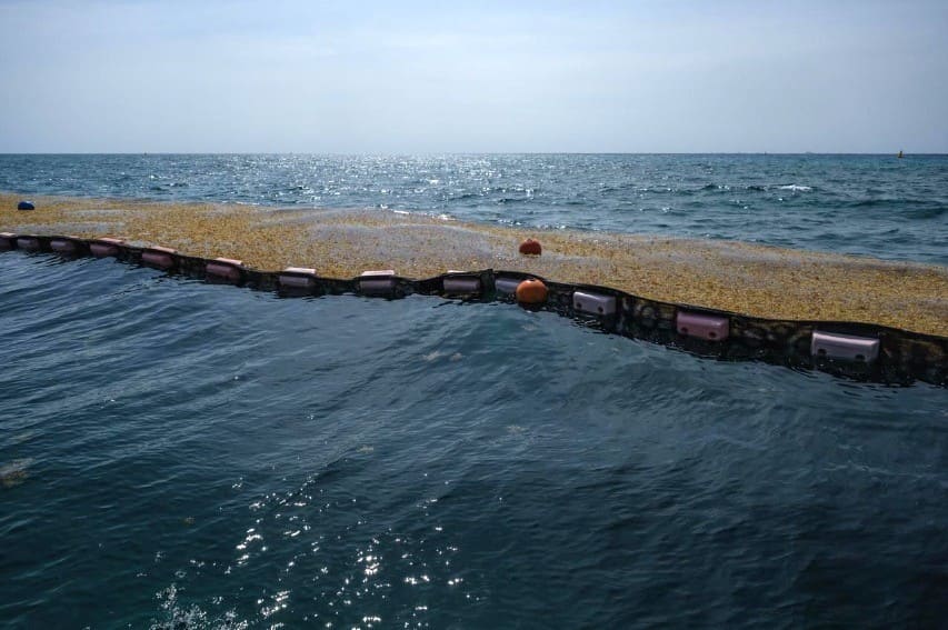 Quintana Roo readying to start construction of first billion-dollar sargassum biogas plant