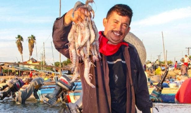 Ministry of Agriculture includes Quintana Roo in extension of shrimp ban