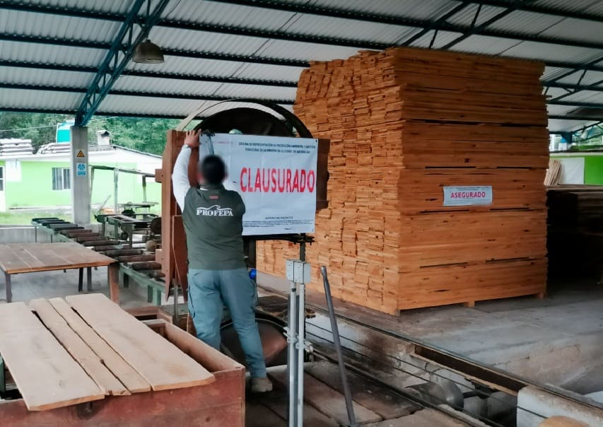 Profepa seizes illegal lumber from Quintana Roo sawmill during nationwide spot inspection