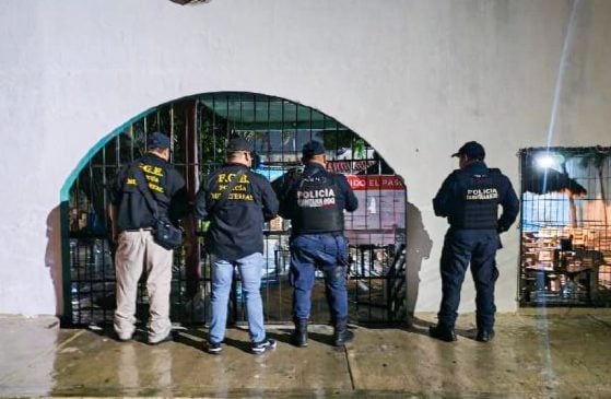 Nearly two dozen women rescued from Cancun sex trafficking operation