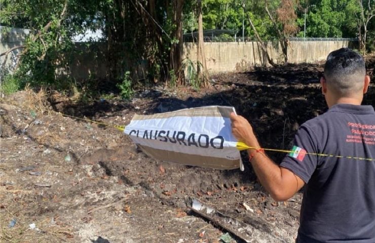 Land clearing project in north Playa del Carmen referred to Profepa to ensure federal compliance