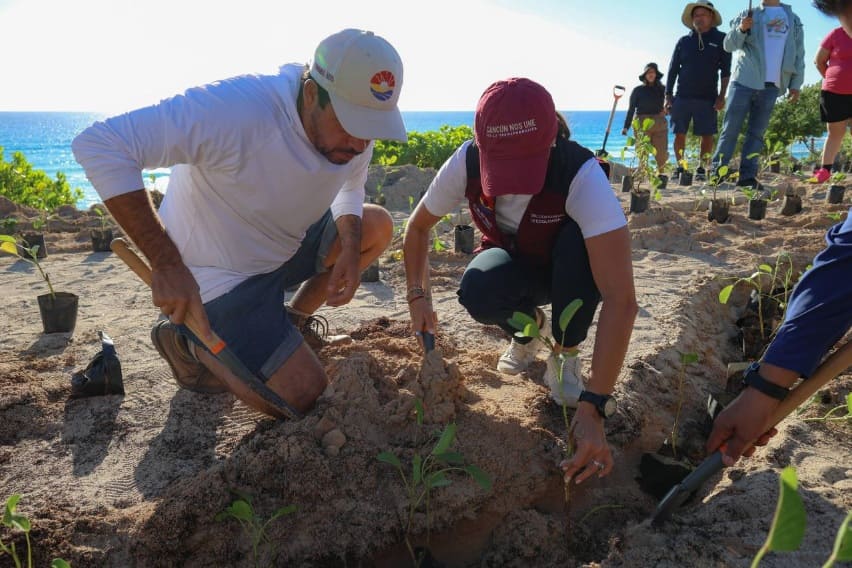 Volunteers plant 500 shrubs to reforest Playa Delfines dune in Cancun Hotel Zone