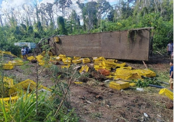 Flatbed transporting live fowl skids off federal highway