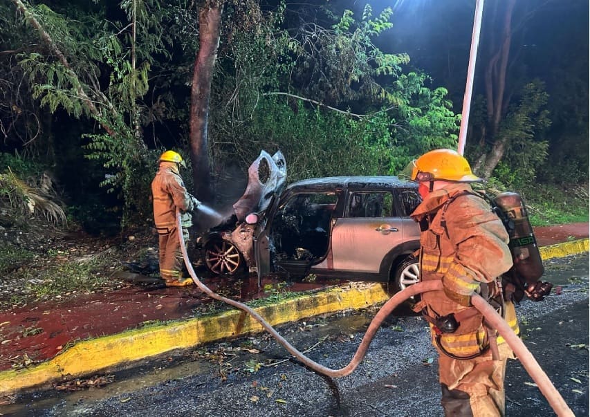 Street racing driver plows through trees before car catches fire