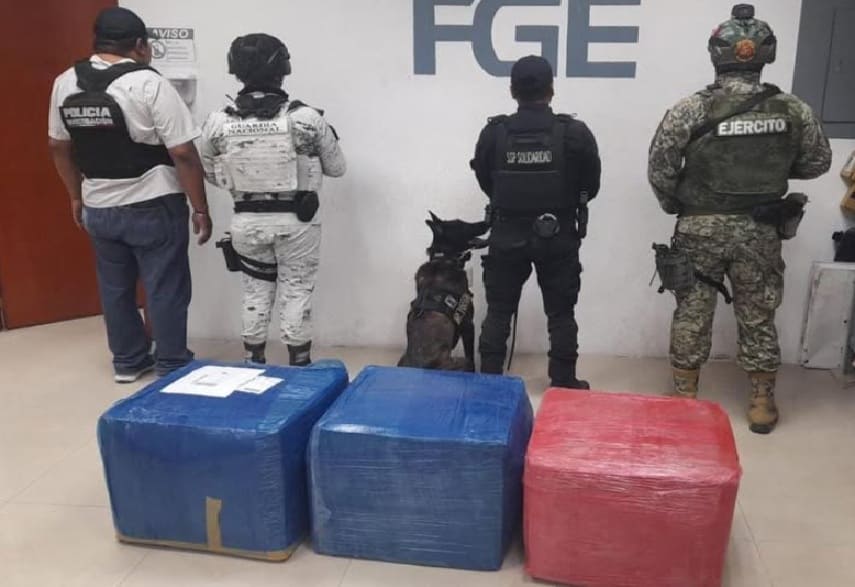 Boxes of narcotics destined for Cozumel intercepted in Playa del Carmen