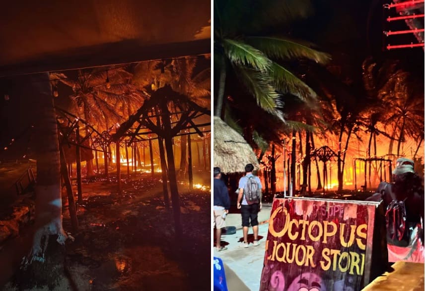Dozens of seaside palapas reduced to ash in massive early morning blaze