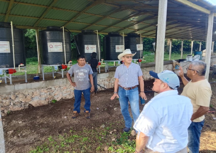New agricultural biofactories promote sustainability and improve Quintana Roo crops