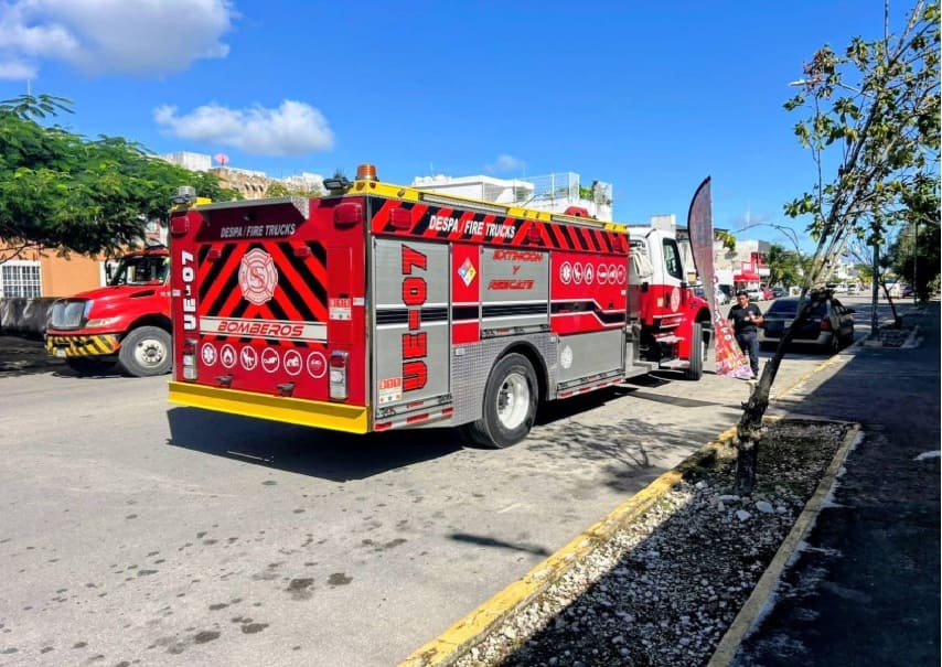 Playa del Carmen firemen rescue two huskies who fell inside a CFE box