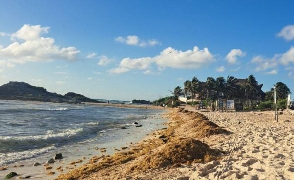 Winds force unexpected arrival of sargassum onto Cancun, Riviera Maya beaches