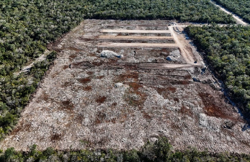 Federal government files legal complaint against poultry company for breaking seals and continuing illegal clearing