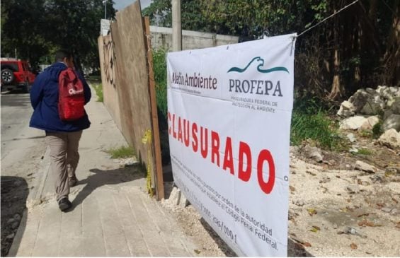 Profepa closes site of up-and-coming company parking lot on Avenue Xcalacoco