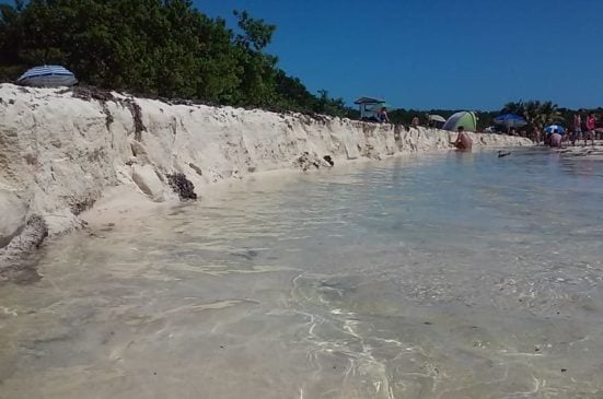Centre for Environmental Law says Cancun, Riviera Maya beach restoration project needs new updated environmental assessment