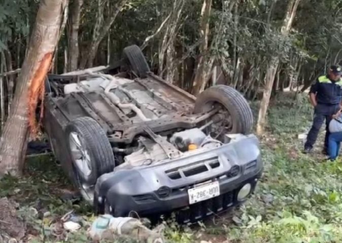 Stray dog causes rollover on Tulum highway