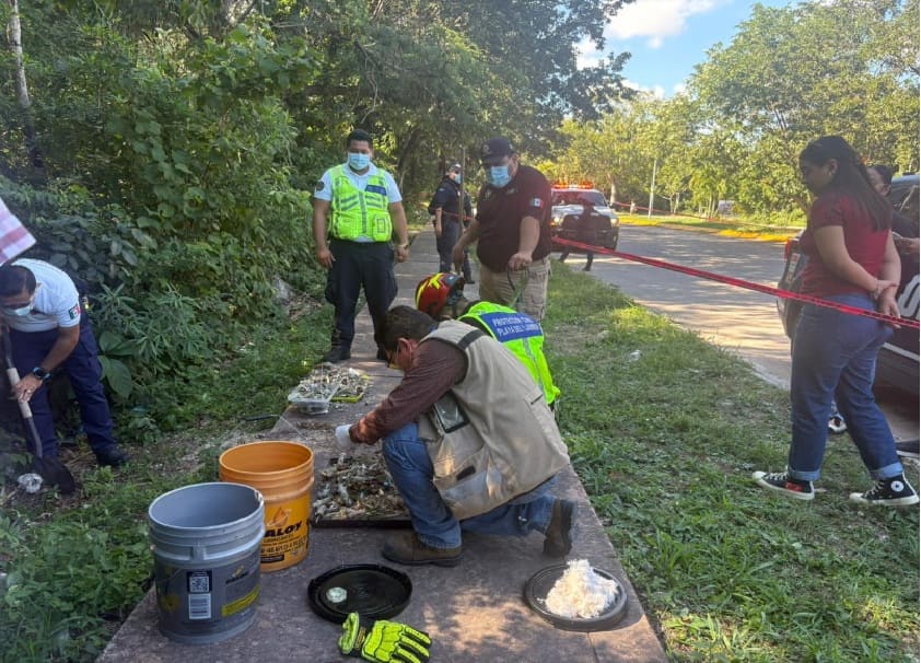 Authorities collect over 4 kilos of medical waste found dumped in a vacant lot