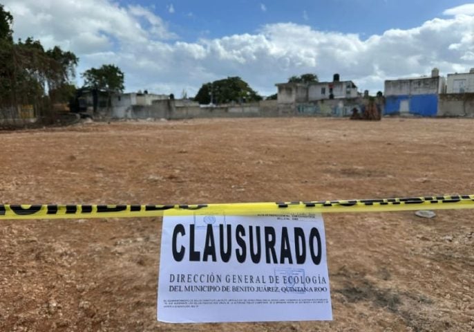 Cancun inspectors close property for illegally clearing trees