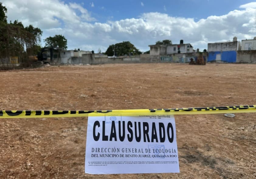 Cancun inspectors close property for illegally clearing trees