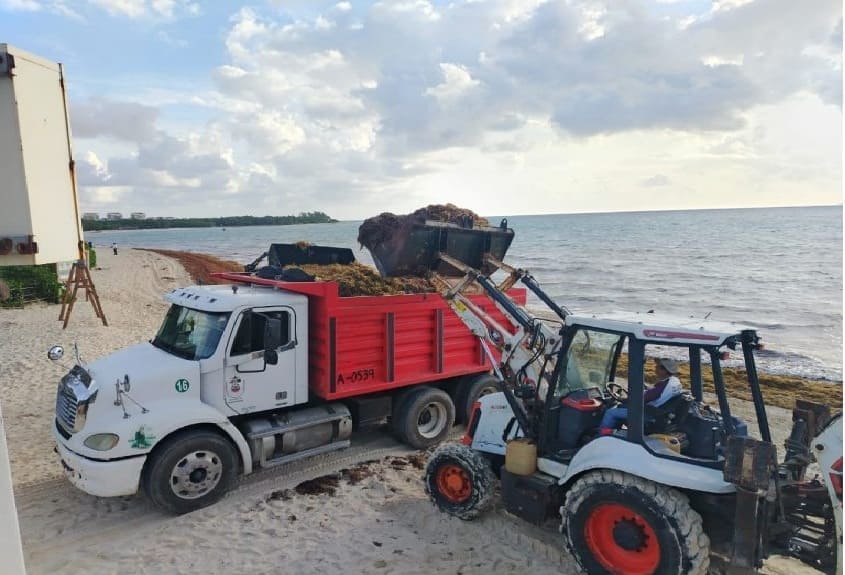 Cancun Riviera Maya beaches remain clear after sargassum emerges out of season