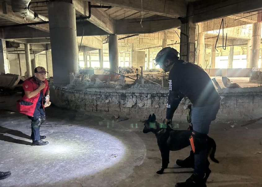 Specialized Cancun K9 units practice simulated search and location training