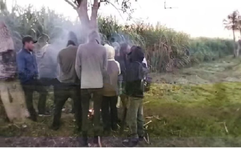 Sugarcane cutters forced to start fires to deal with unusually cold temperatures