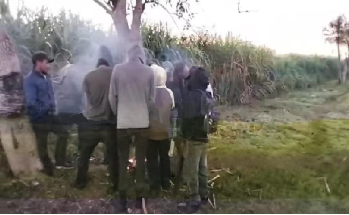 Sugarcane cutters forced to start fires to deal with unusually cold temperatures