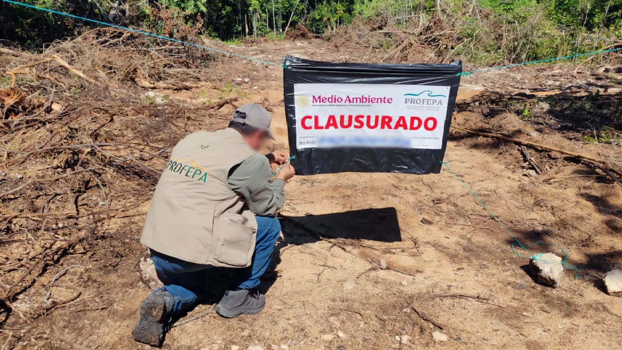 Federal inspectors close illegally cleared Playa del Carmen land after forestry inspection
